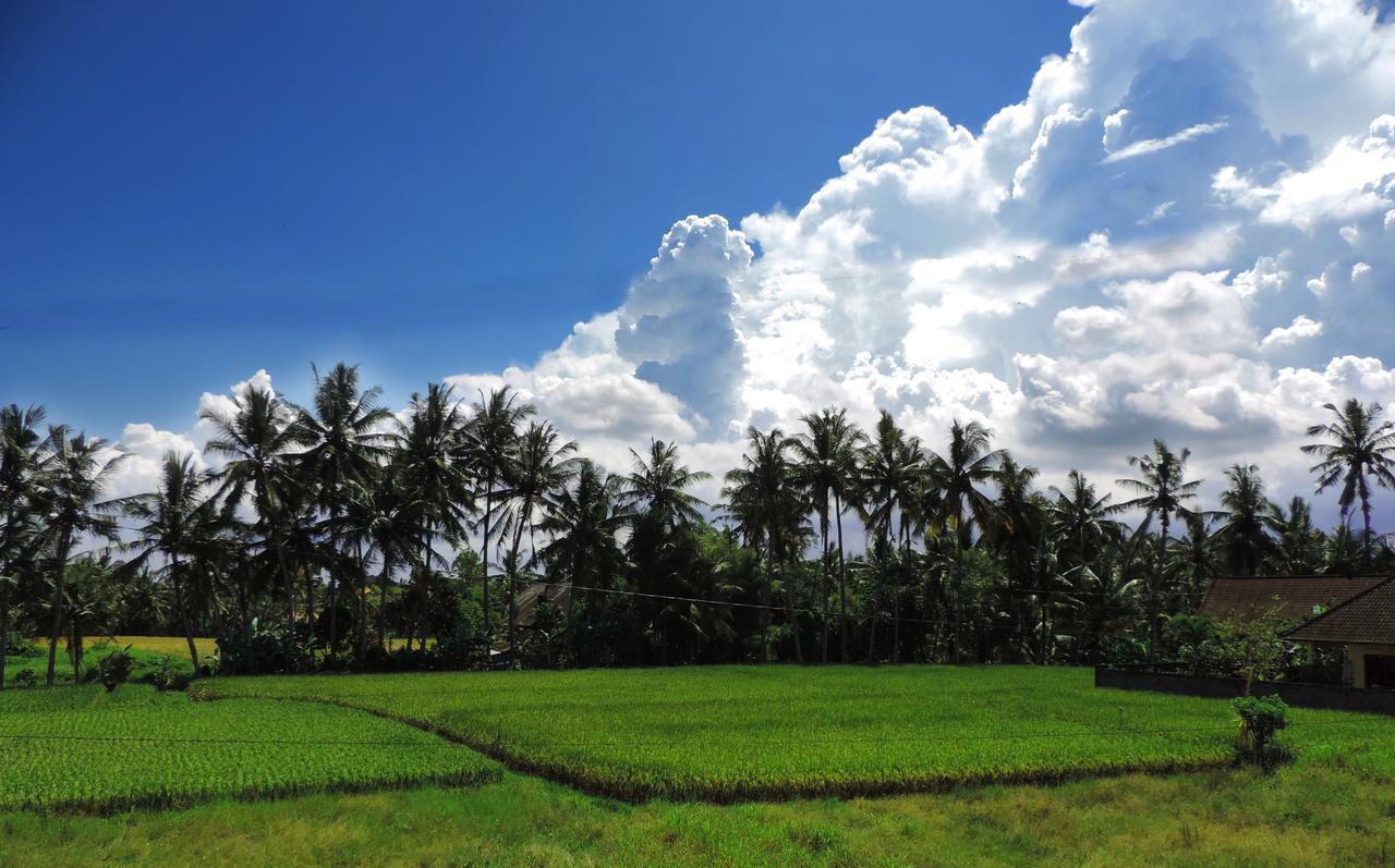 Pondok Ayu Soca Ubud  Exterior photo
